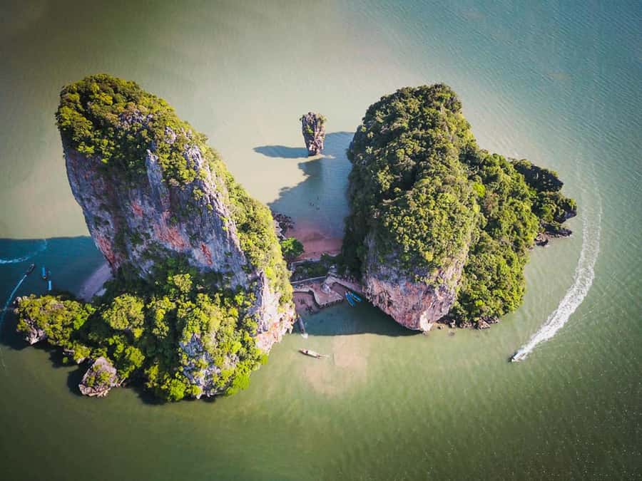 Phang Nga Bay: Longtail Boat Sightseeing Tour - Mangrove forests and wildlife habitat: why the green matters