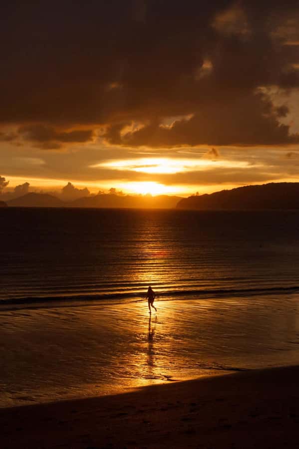 Phi Phi & 4 Islands Sunset tour + Bioluminescent Planktons - Key highlights to know before you go