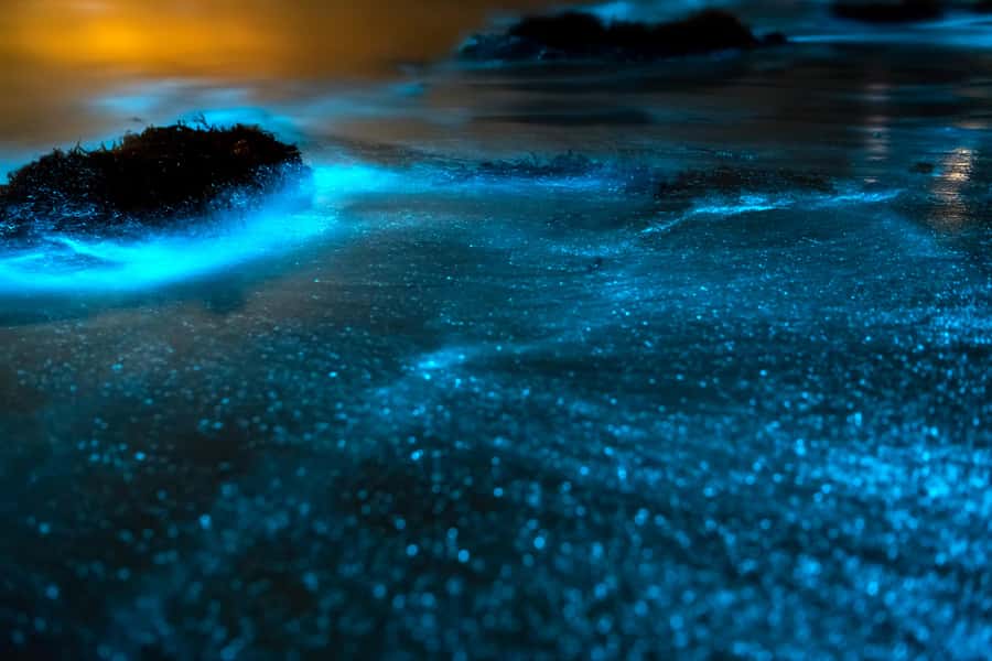 Phi Phi & 4 Islands Sunset tour + Bioluminescent Planktons - A Speedboat Day to Phi Phi and Railay’s Night Swim