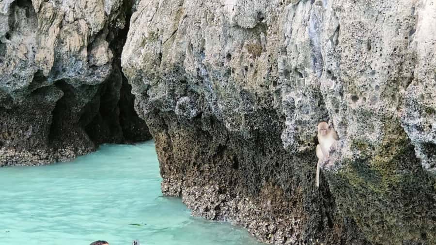 Phi Phi Islands: Private Longtail Boat 6-hour Trip - Snorkeling Tips That Keep You Comfortable