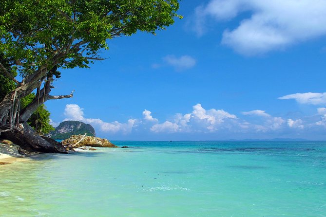 Phi Phi & Maya Bay Speedboat: All-Day Food & Choice of 3 Marinas - Should You Book This Phi Phi and Maya Bay Speedboat Tour?