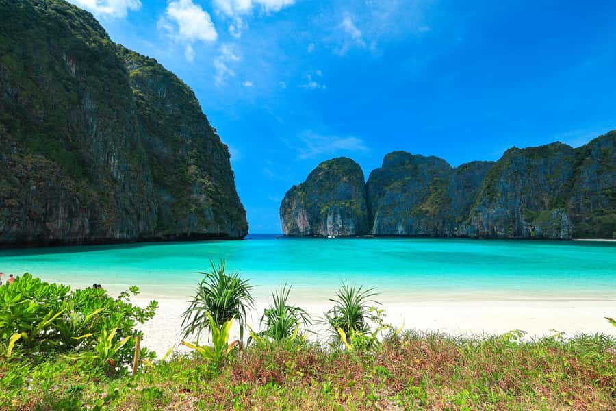 Phuket: Bamboo Island and Phi Phi Islands by Fast Catamaran - Ko Phi Phi Le: Snorkeling Time Where the Water Looks Like It Has a Filter