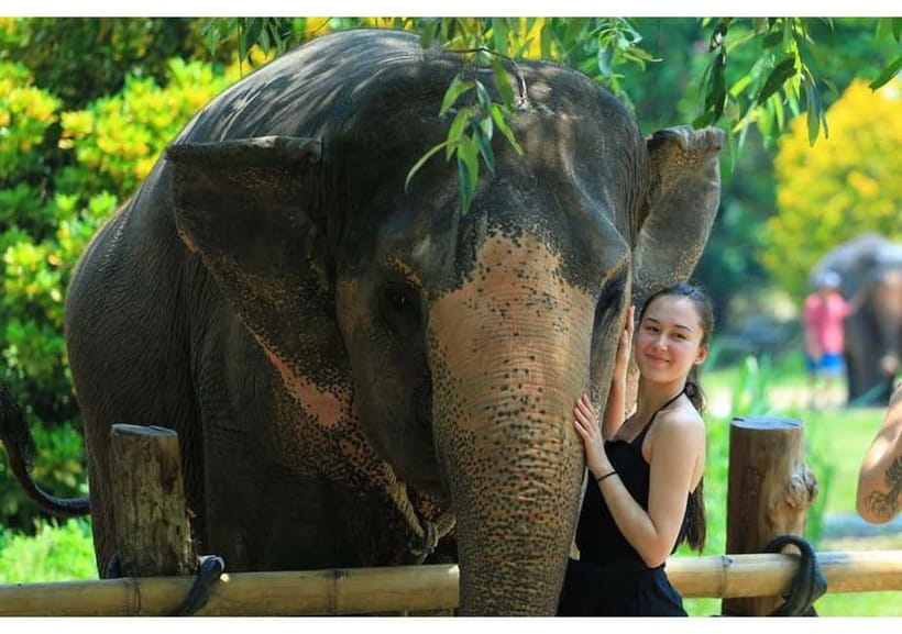 Phuket: Bamboo Rafting & ATV Ride (Optional) - Turtle Conservation Centre: conservation time that’s worth slowing down for