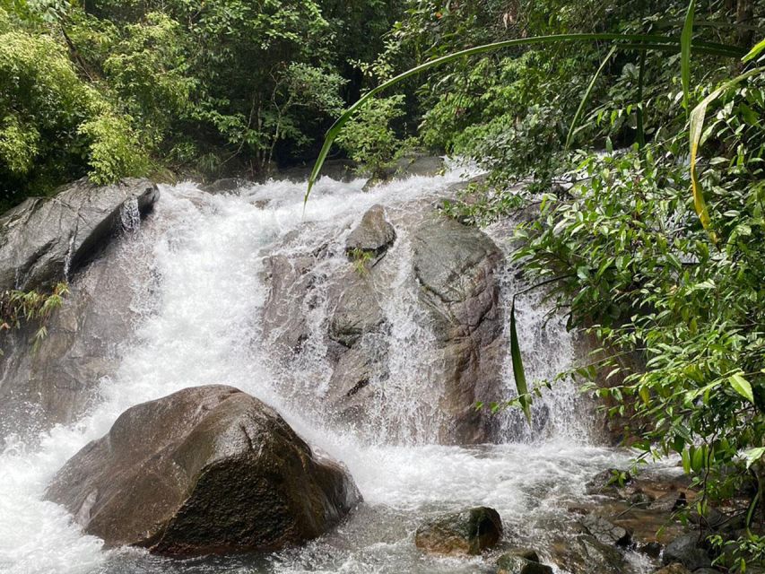 Phuket: Bamboo Rafting, Monkey Cave, and ATV Option - The elephant question: a humane-travel heads-up