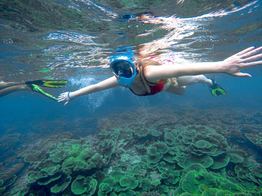 Phuket: Deluxe Phi Phi Tour by Speedboat & Lunch Buffet - Key things to know before you go