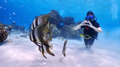 Phuket: Discover Scuba Diving to Racha Yai Island - Discover Scuba basics: what you learn before you go under