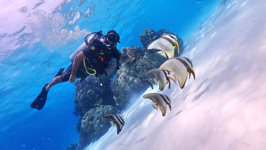 Phuket: Discover Scuba Diving to Racha Yai Island - The boat day you actually want: breakfast, lunch, snacks, and breaks that feel real