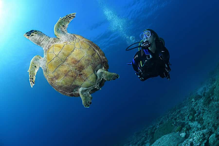 Phuket: Discover Scuba Diving to Racha Yai Island - Should you book the Racha Yai Discover Scuba experience?