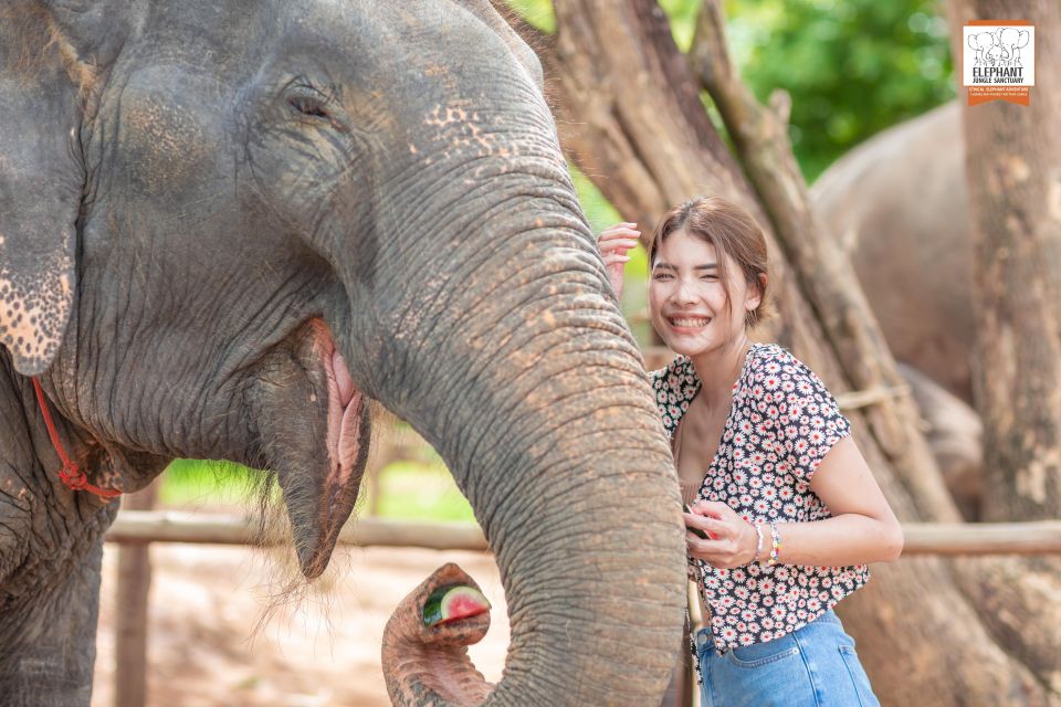 Phuket: Elephant Jungle Sanctuary Ethical Feeding Experience - Key Points Worth Your Time