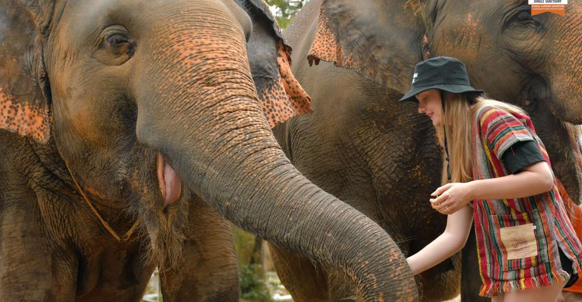 Phuket: Elephant Jungle Sanctuary Ethical Feeding Experience - The Feed Me Session at Elephant Jungle Sanctuary: Why It Feels Different