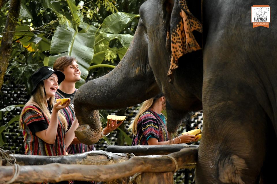 Phuket: Elephant Jungle Sanctuary Ethical Feeding Experience - What You Actually Do: Feeding, Watching, and Staying Respectful