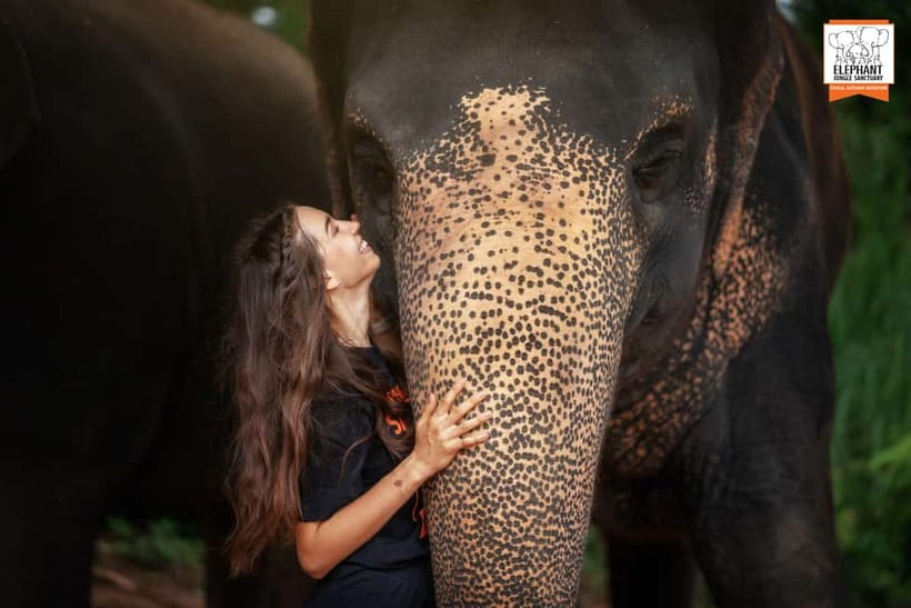 Phuket: Elephant Jungle Sanctuary Ethical Feeding Experience - How to Plan Your Day Around the 1-Hour Experience