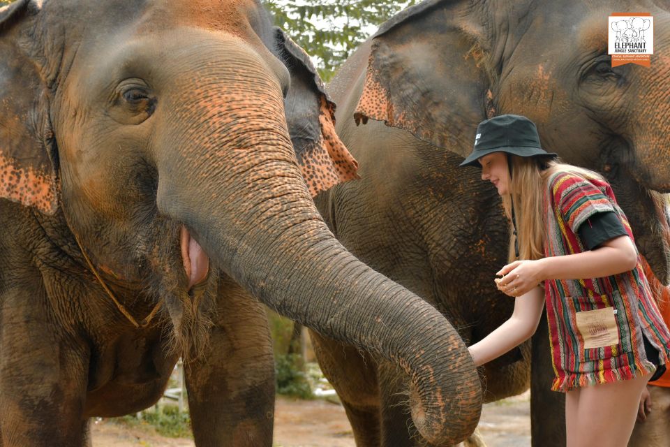 Phuket: Elephant Jungle Sanctuary Ethical Feeding Experience - From Elephant Jungle Cafe to the Feeding Area in About One Hour