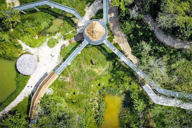 Phuket Elephant Sanctuary Canopy Walkway Tour - Snacks, Drinks, and Small Comforts That Add Up