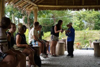Phuket: Elephant Sanctuary Tour with Hotel Transfers - Feeding Elephants: Up Close Without Feeling Like a Show