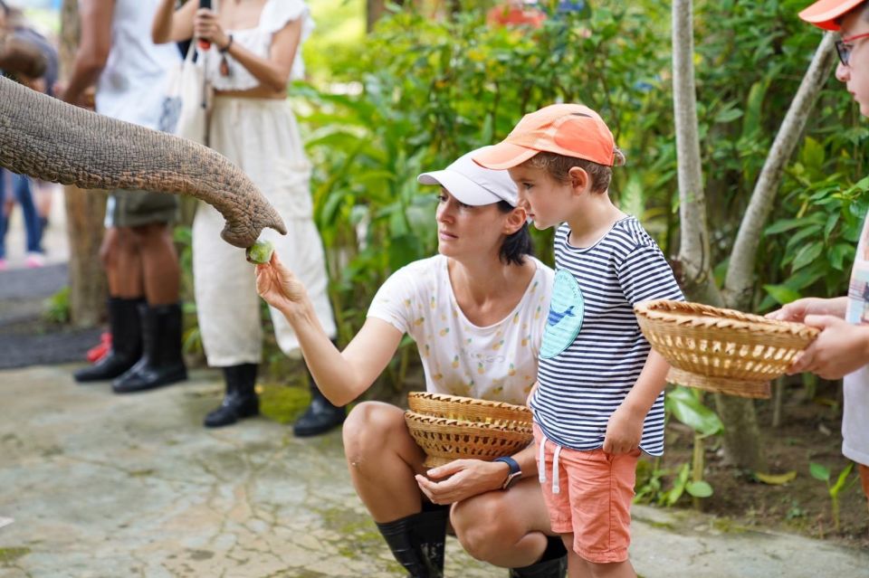 Phuket: Elephant Sanctuary Tour with Hotel Transfers - Hotel Transfers in Phuket: Comfort, Time, and the One Thing to Verify