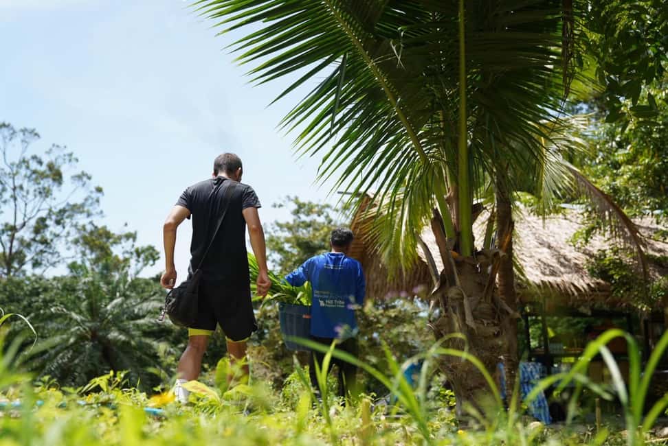Phuket: Elephant Sanctuary Tour with Hotel Transfers - Choosing Morning vs Afternoon: Match It to Your Day