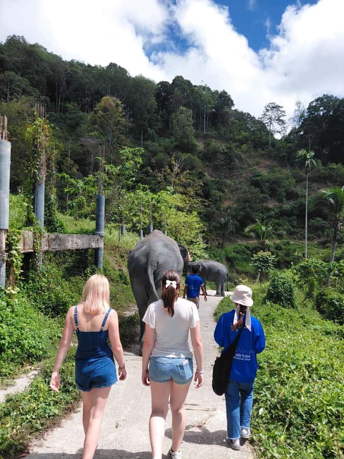 Phuket: Elephant Sanctuary Tour with Pickup & Optional Lunch - FAQ