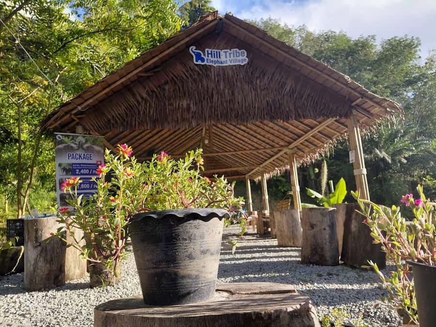 Phuket: Ethical Elephant Sanctuary Experience - Lake bath time: helping scrub and taking your own refreshing swim