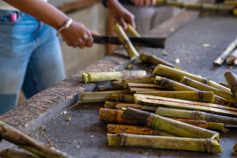 Phuket: Ethical Elephant Sanctuary Experience - Thai cooking class and lunch: a useful break, not a filler