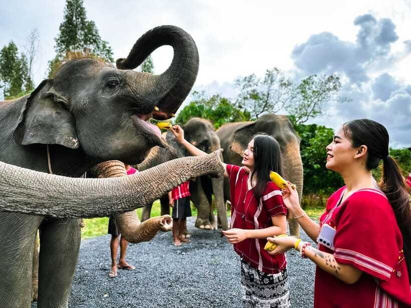 Phuket : Experience feeding and bathing elephants 1.5 Hrs. - FAQ