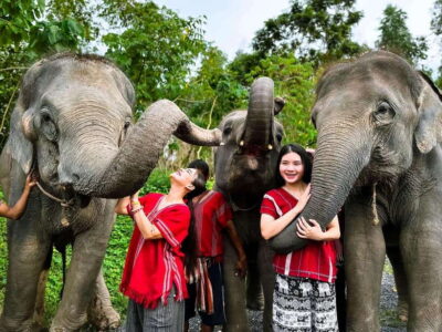 Phuket : Experience feeding and bathing elephants 1.5 Hrs. - Entering Kerchor Elephant Family Phuket: Uniforms, Coffee, and Karen Culture