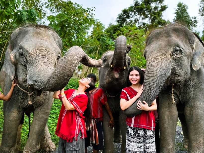 Phuket : Experience feeding and bathing elephants 1.5 Hrs. - Bathing and Water Play: Why This Part Matters (and How to Stay Comfortable)