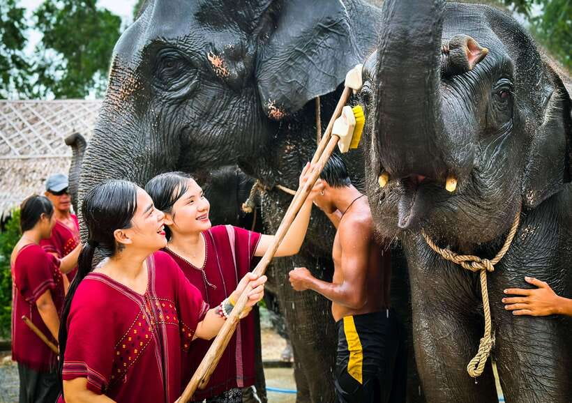 Phuket : Experience feeding and bathing elephants 1.5 Hrs. - Who This Phuket Elephant Experience Fits Best