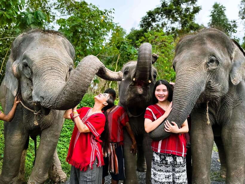 Phuket : Experience feeding and bathing elephants 1.5 Hrs. - Entering Kerchor Elephant Family Phuket: Uniforms, Coffee, and Karen Culture