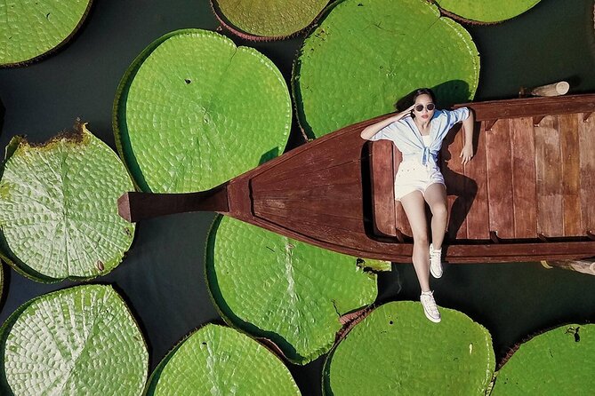 Phuket Giant Water Lilies & Temple Tour - Private & All-Inclusive - How private pickup and air-conditioned comfort changes the day