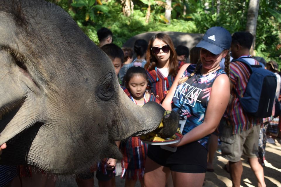 Phuket: Half Day or 2-Hour Ethical Elephant Care Sanctuary - Phuket’s Nai Dee Elephant Care Park: what makes it different