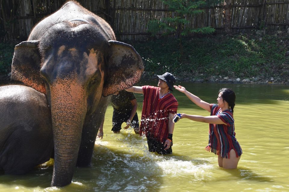 Phuket: Half Day or 2-Hour Ethical Elephant Care Sanctuary - Price and value: is it worth the $36?