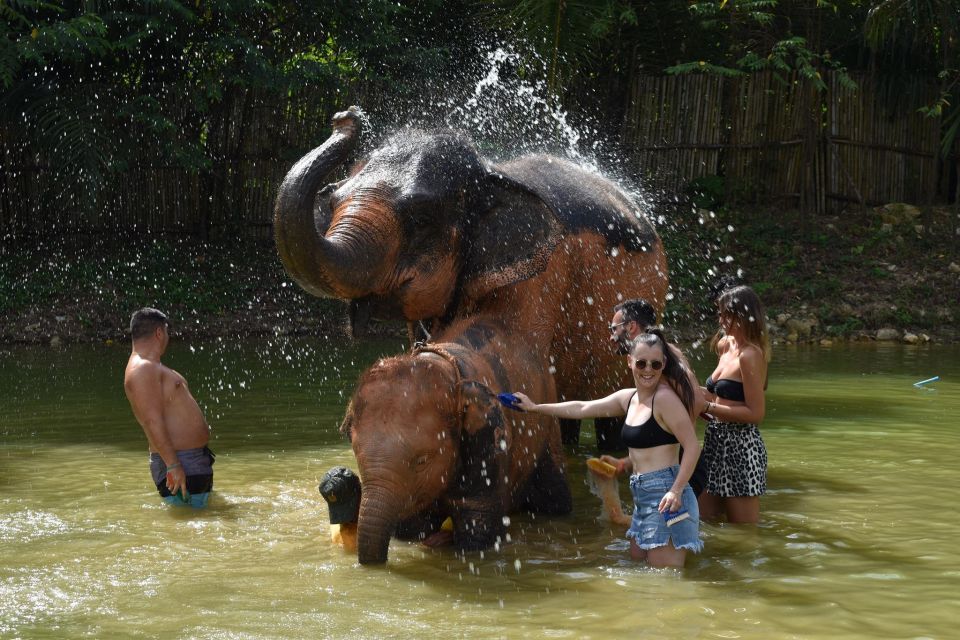 Phuket: Half Day or 2-Hour Ethical Elephant Care Sanctuary - Guides, group energy, and the elephant behavior focus