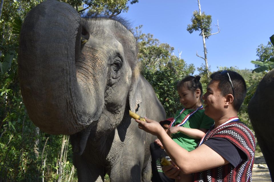Phuket: Half Day or 2-Hour Ethical Elephant Care Sanctuary - Photos and memories: what you can expect