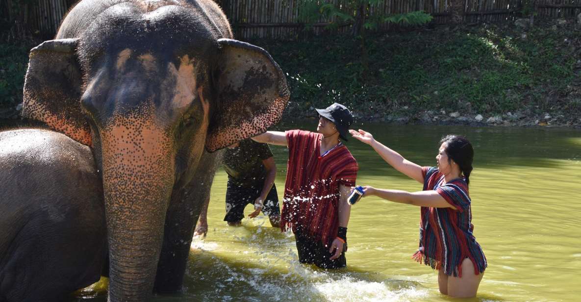 Phuket: Half Day or 2-Hour Ethical Elephant Care Sanctuary - Getting there from Phuket: shared transfers can change the feel of your day