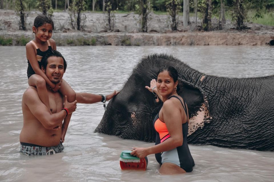 Phuket: Half Day or 2-Hour Ethical Elephant Care Sanctuary - Option B (2 hours): quick ethical feeding and still a full Thai bite