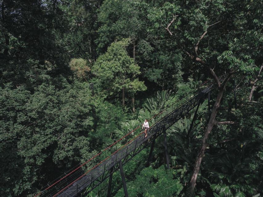 Phuket: Hanuman World Zip Line Adventure - Zip-Lines Over the Thai Canopy: What the Course Really Feels Like