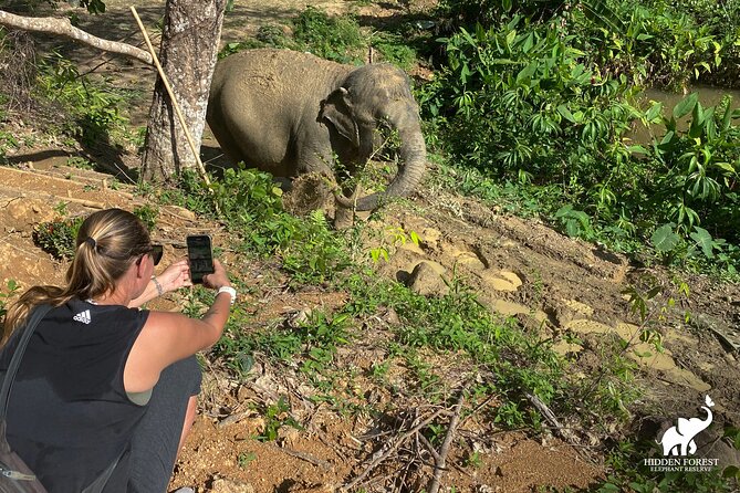 Phuket: Hidden Forest Elephant Reserve Guided Tour with Lunch - Lunch in the hills: vegetarian Thai buffet with elephant activity nearby
