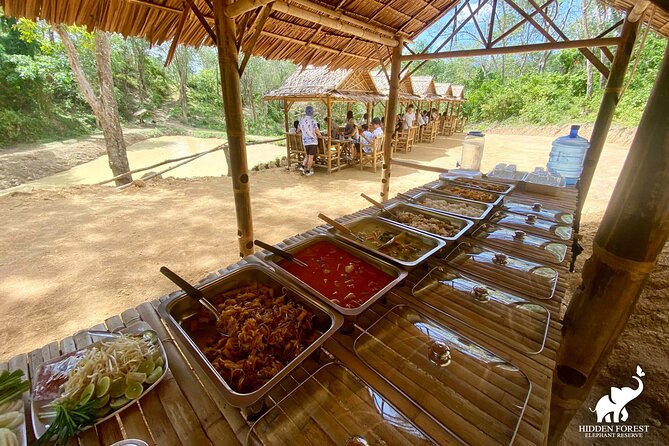 Phuket: Hidden Forest Elephant Reserve Guided Tour with Lunch - Price check: is $99 really good value?