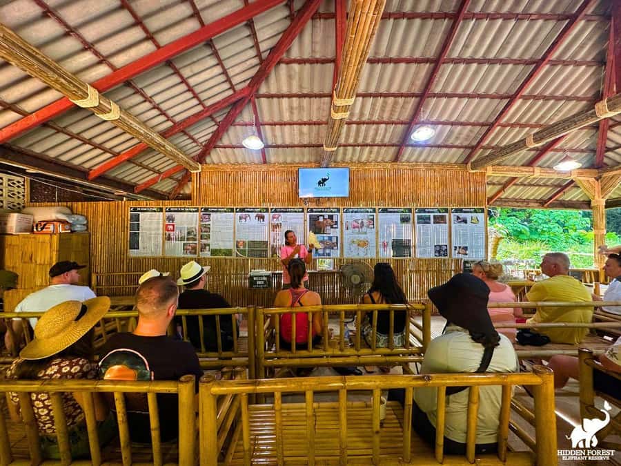 Phuket: Hidden Forest Elephant Reserve with Meal & Transfer - Should you book Hidden Forest Elephant Reserve?