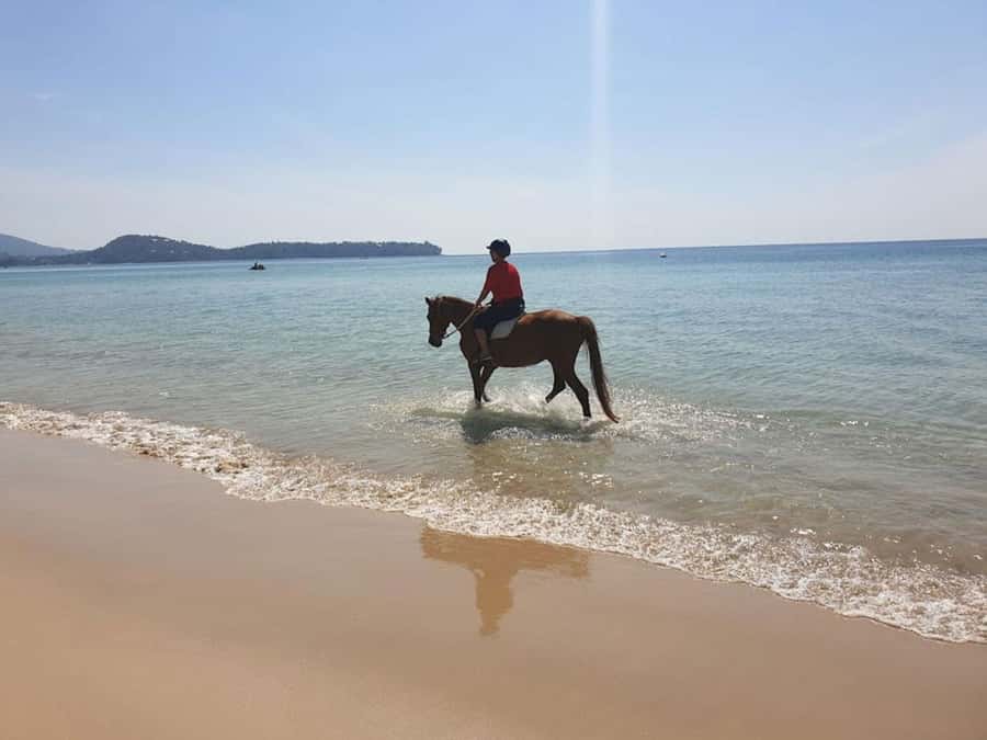Phuket: Kamala Beach Horse Riding Activity - Price and value check: what $70 really buys you