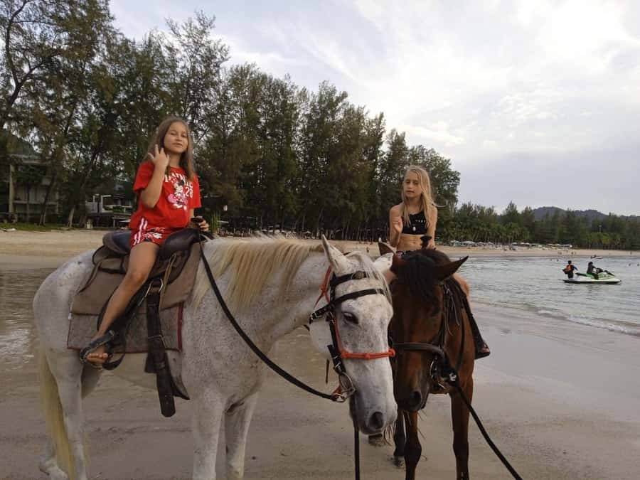 Phuket: Kamala Beach Horse Riding Activity - The best part after the ride: feeding and showering your horse