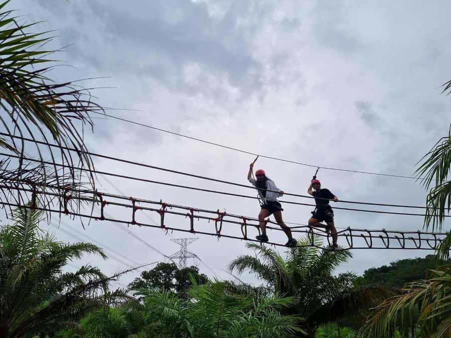 Phuket: Monkey Cave, Water Rafting, Zipline with ATV Option - Zipline in the Treetops: Short Run, Real Adrenaline