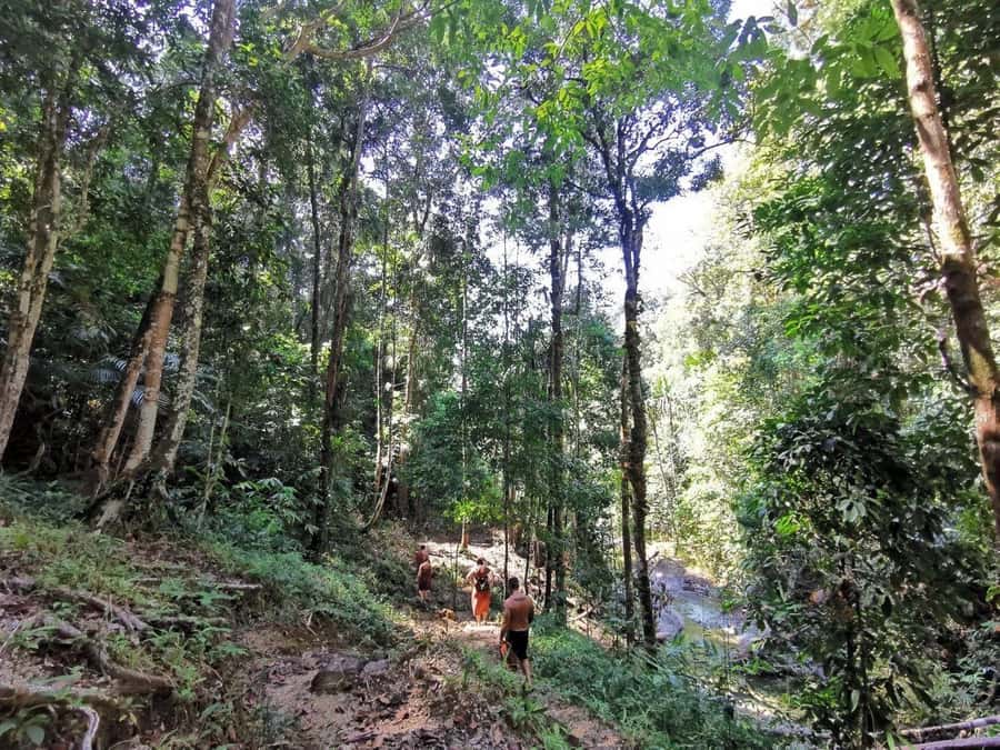 Phuket: Monkey Cave, Water Rafting, Zipline with ATV Option - Lunch at Camp Plus a Reset Between Activities