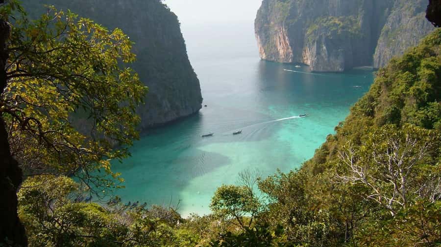 Phuket: Phi Phi Island Sunrise Group Speedboat Tour - Lunch back at the pool club: Halal buffet with serious satisfaction