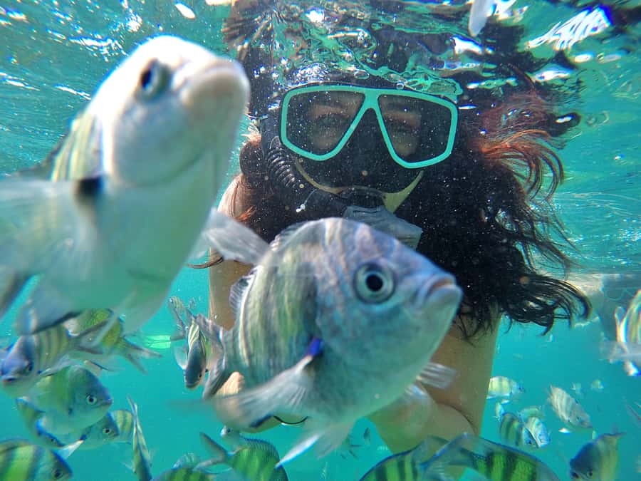 Phuket: Phi Phi & James Bond Island Combo Day Tour w/Lunch - The value question: is $125 a good deal for this route?