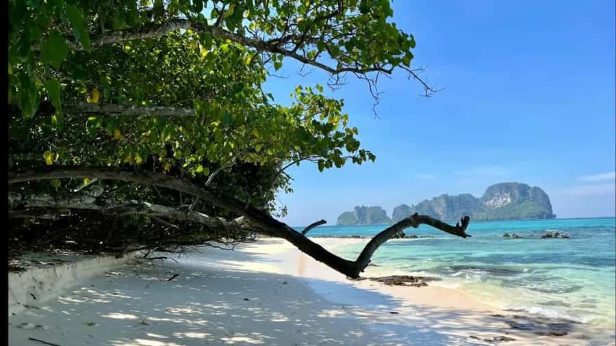 Phuket: Phi Phi, Maya, Khai or Maiton or Bamboo Island Tour - Maya Bay: movie-famous beach with conservation rules