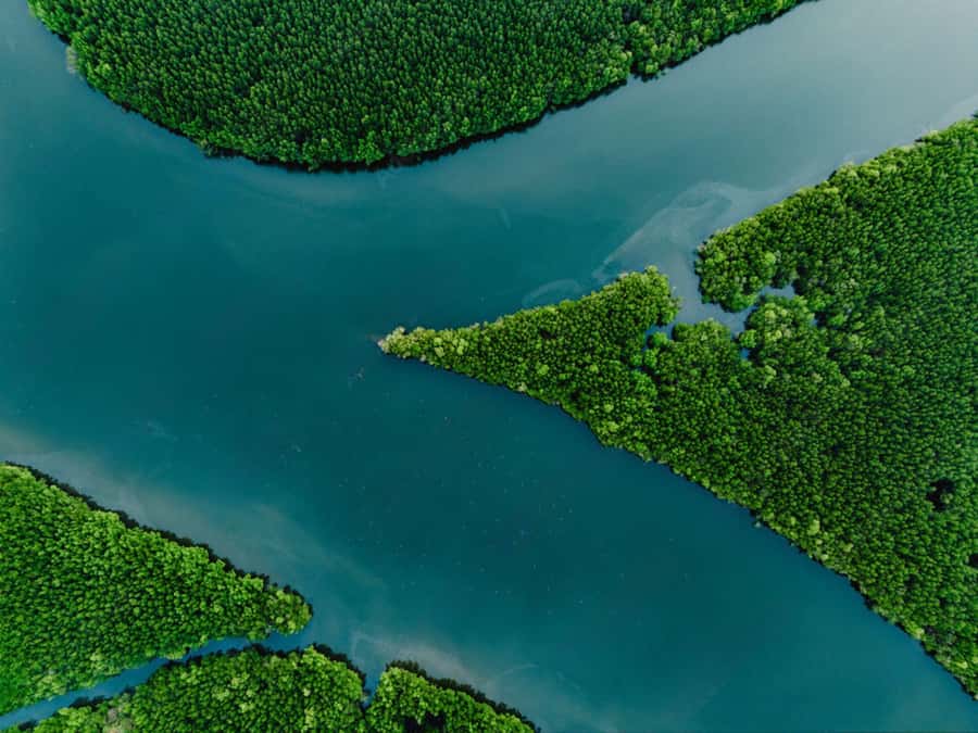 Phuket : Samet Nangshe and Cheow Lan Lake Adventure Day Tour - Khao Sok National Park: the part that feels like a detour you’ll remember