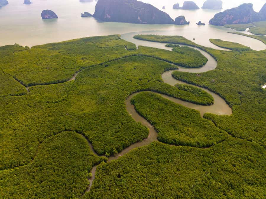 Phuket : Samet Nangshe and Cheow Lan Lake Adventure Day Tour - Guides and pacing: why the small details matter