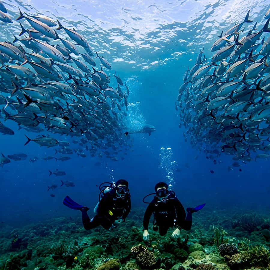 Phuket: Scuba Diving Maithon Or Racha Islands For All Levels - Who should book, and who should skip it